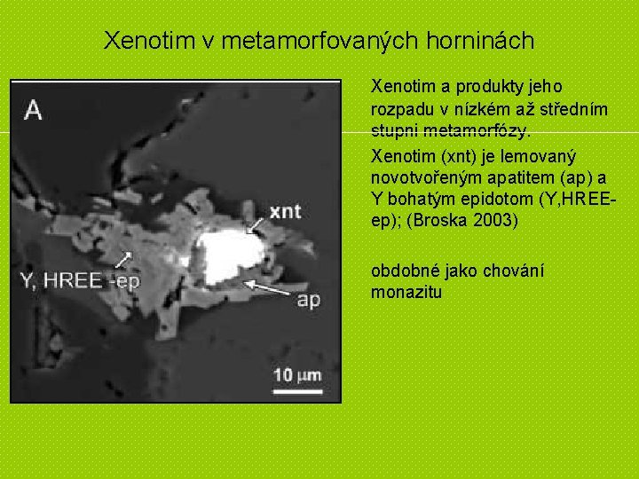 Xenotim v metamorfovaných horninách Xenotim a produkty jeho rozpadu v nízkém až středním stupni