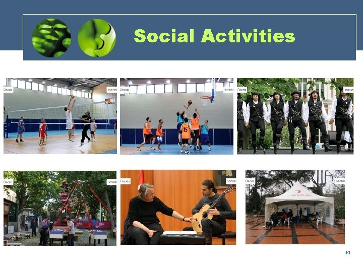 Social Activities 14 