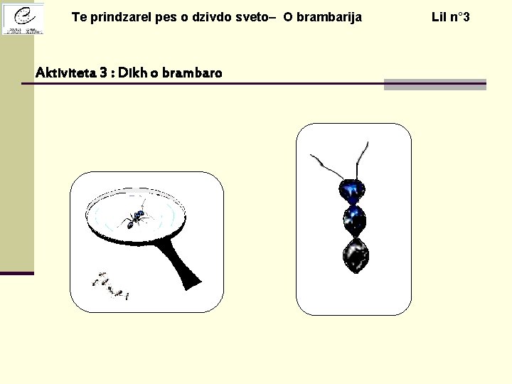 Te prindzarel pes o dzivdo sveto– O brambarija Aktiviteta 3 : Dikh o brambaro