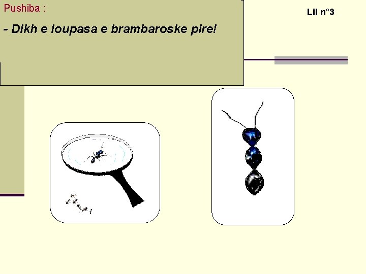 Pushiba : - Dikh e loupasa e brambaroske pire! Activité 3 : Observe la