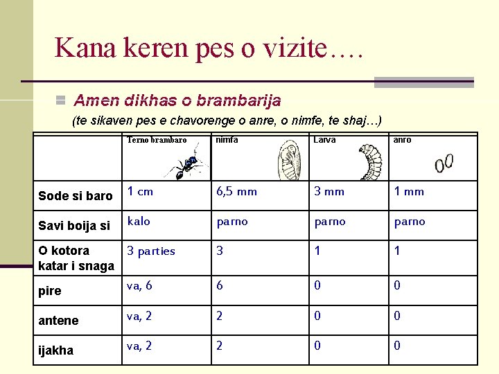 Kana keren pes o vizite…. n Amen dikhas o brambarija (te sikaven pes e