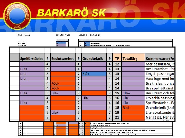 Nivåbedömning Barkarö SK F 04/05 AUGUSTI 2014 (Höstsäsong) Genomförd av: Poängskala: Antal per grupp