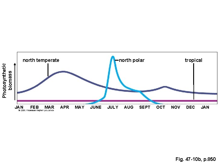 north polar tropical Photosynthetic biomass north temperate JAN FEB MAR APR MAY JUNE JULY