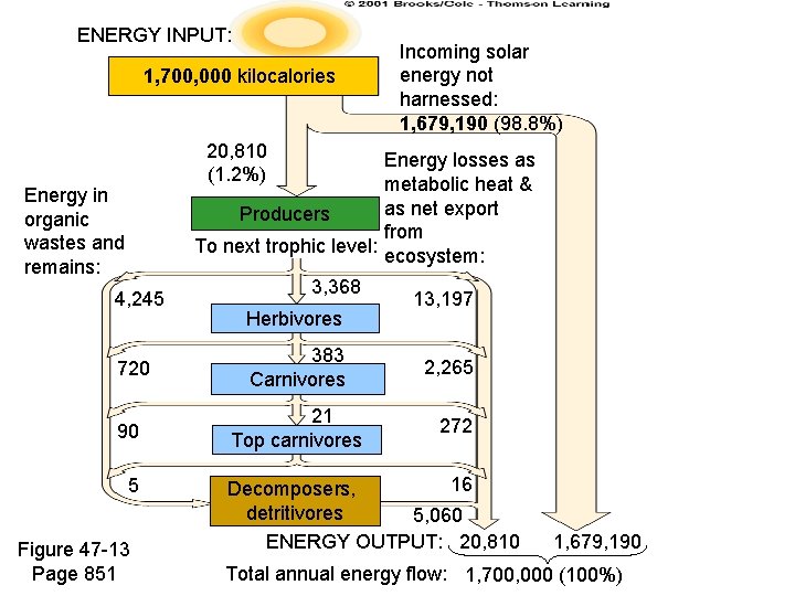 Incoming solar Energy Flow In energy not 1, 700, 000 kilocalories harnessed: Silver Springs