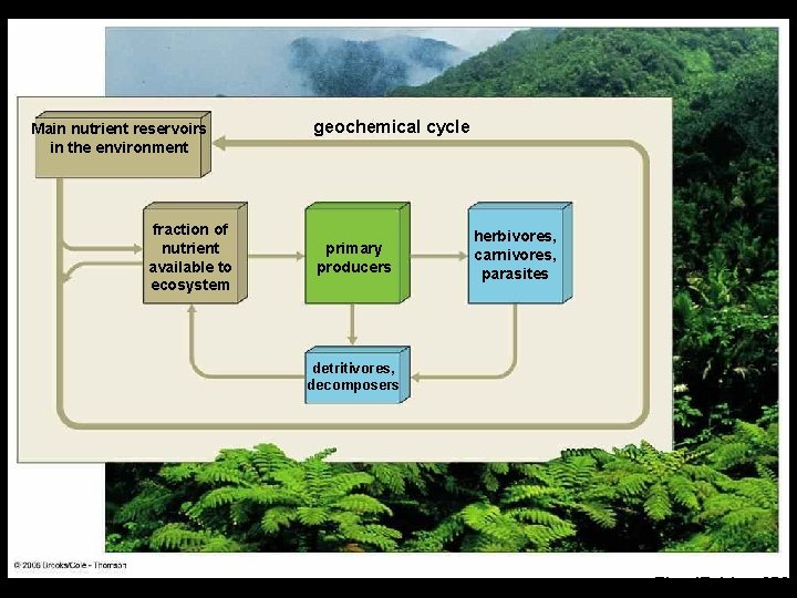 Main nutrient reservoirs in the environment fraction of nutrient available to ecosystem geochemical cycle