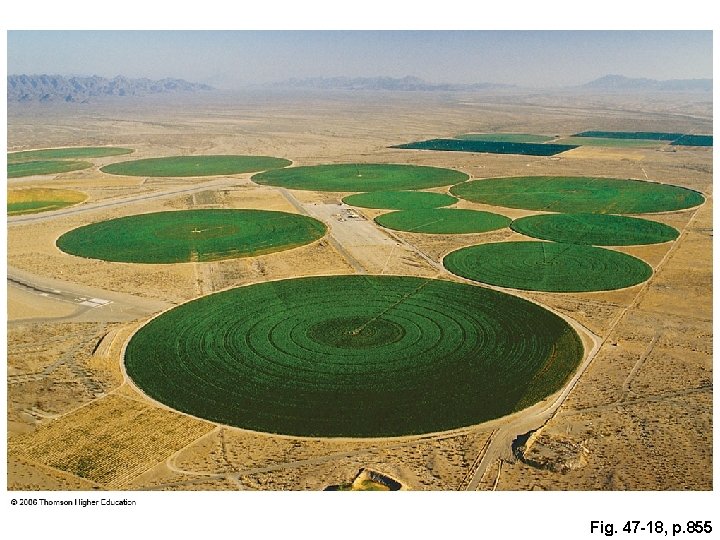 Fig. 47 -18, p. 855 