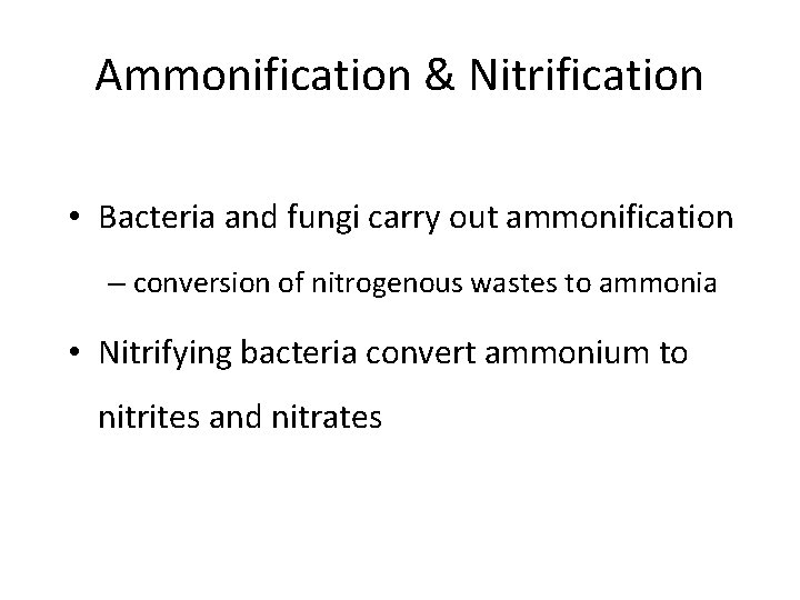 Ammonification & Nitrification • Bacteria and fungi carry out ammonification – conversion of nitrogenous