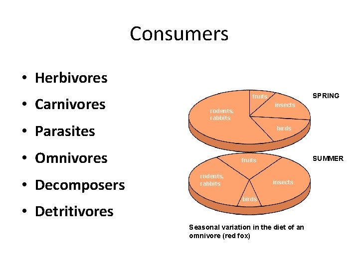 Consumers • Herbivores • Carnivores • Parasites • Detritivores insects rodents, rabbits birds •