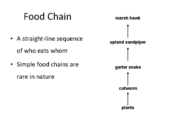 Food Chain marsh hawk • A straight-line sequence upland sandpiper of who eats whom