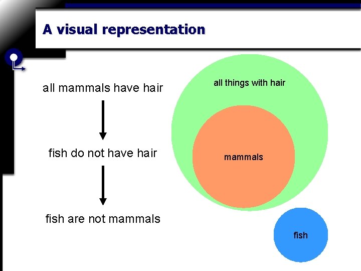 A visual representation all mammals have hair fish do not have hair all things