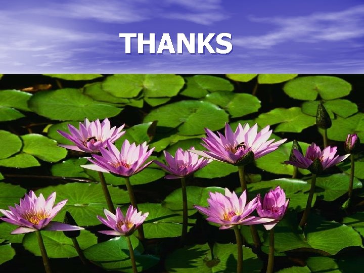THANKS 