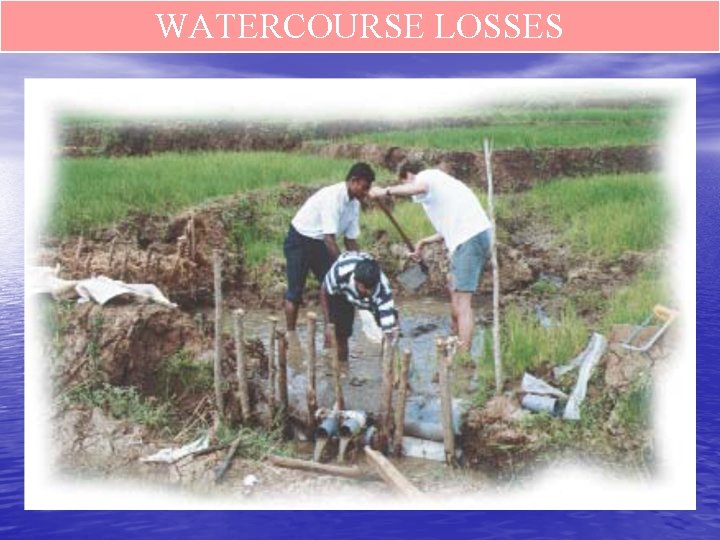 WATERCOURSE LOSSES 