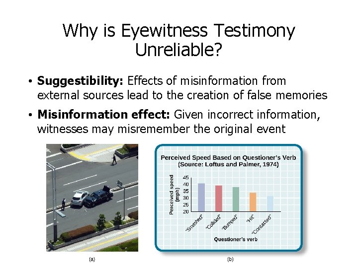 Why is Eyewitness Testimony Unreliable? • Suggestibility: Effects of misinformation from external sources lead