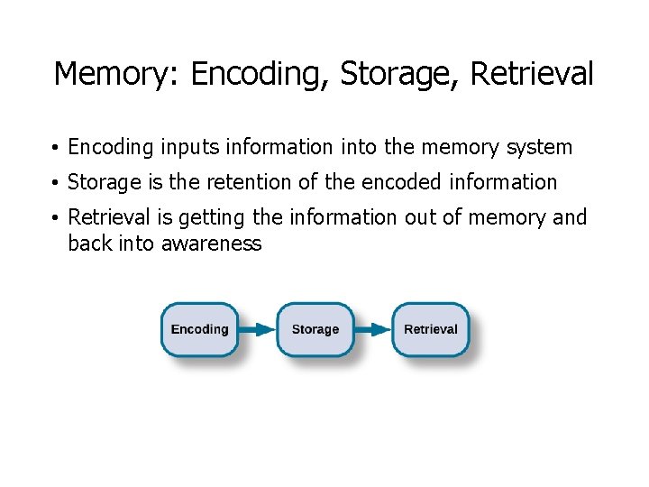 Memory: Encoding, Storage, Retrieval • Encoding inputs information into the memory system • Storage