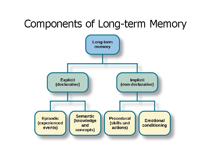 Components of Long-term Memory 
