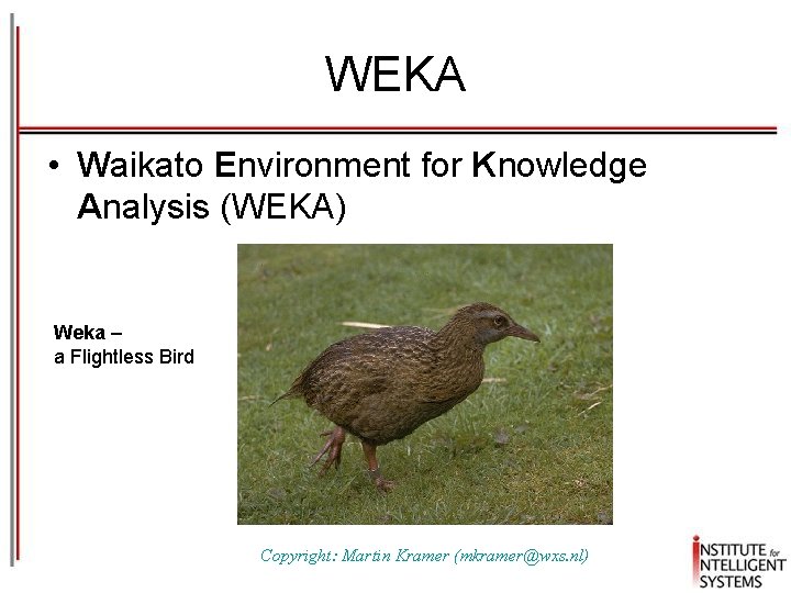 WEKA • Waikato Environment for Knowledge Analysis (WEKA) Weka – a Flightless Bird Copyright: