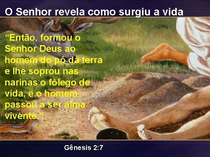 O Senhor revela como surgiu a vida “Então, formou o Senhor Deus ao homem