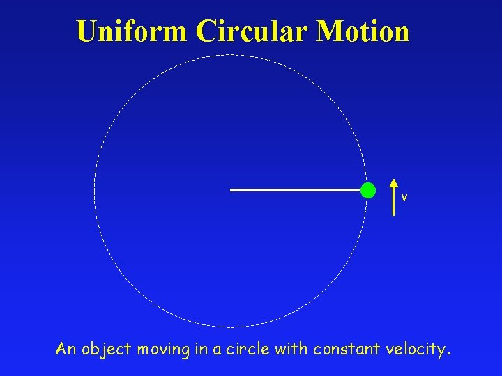 Uniform Circular Motion v An object moving in a circle with constant velocity. 