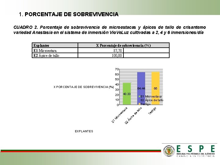 1. PORCENTAJE DE SOBREVIVENCIA CUADRO 2. Porcentaje de sobrevivencia de microestacas y ápices de