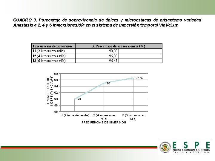 CUADRO 3. Porcentaje de sobrevivencia de ápices y microestacas de crisantemo variedad Anastasia a