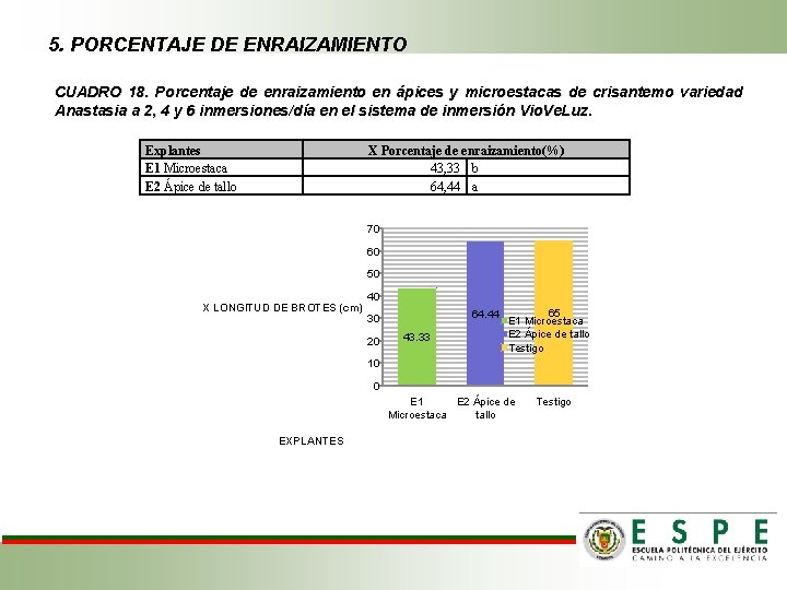 5. PORCENTAJE DE ENRAIZAMIENTO CUADRO 18. Porcentaje de enraizamiento en ápices y microestacas de