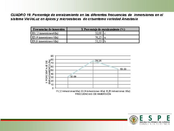 CUADRO 19. Porcentaje de enraizamiento en las diferentes frecuencias de inmersiones en el sistema