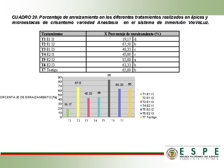 CUADRO 20. Porcentaje de enraizamiento en los diferentes tratamientos realizados en ápices y microestacas