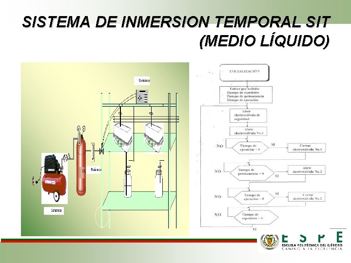 SISTEMA DE INMERSION TEMPORAL SIT (MEDIO LÍQUIDO) 