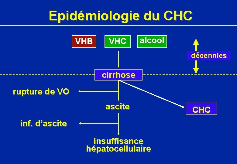 Epidémiologie du CHC VHB VHC alcool décennies cirrhose rupture de VO ascite inf. d’ascite