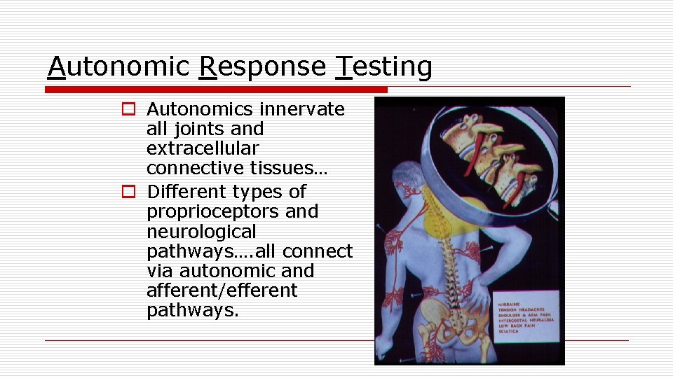 Autonomic Response Testing o Autonomics innervate all joints and extracellular connective tissues… o Different