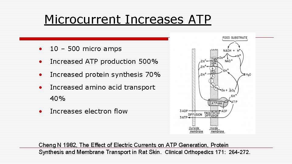 Microcurrent Increases ATP • 10 – 500 micro amps • Increased ATP production 500%