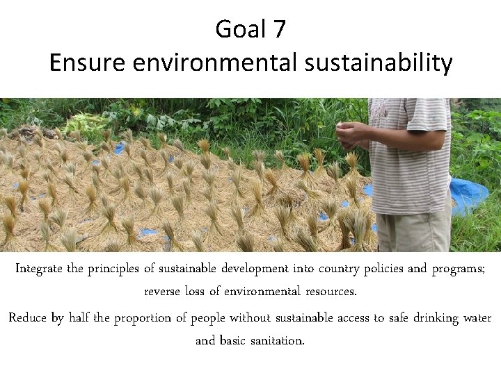 Goal 7 Ensure environmental sustainability Integrate the principles of sustainable development into country policies