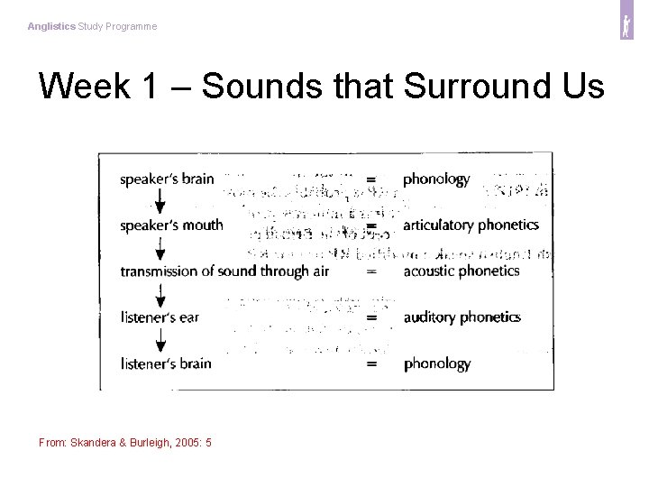 Anglistics Study Programme Week 1 – Sounds that Surround Us From: Skandera & Burleigh,