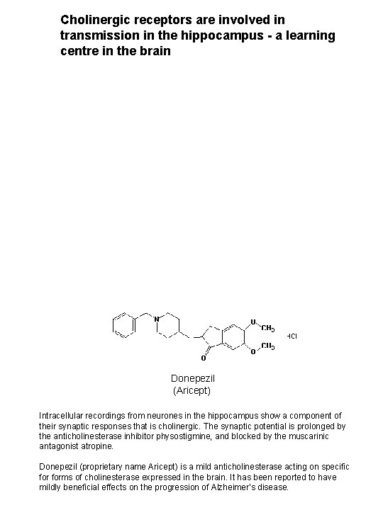 Cholinergic receptors are involved in transmission in the hippocampus - a learning centre in