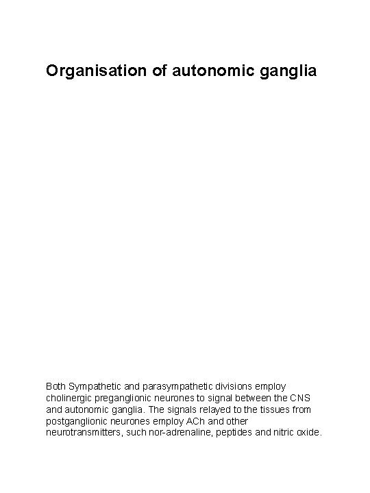 Organisation of autonomic ganglia Both Sympathetic and parasympathetic divisions employ cholinergic preganglionic neurones to