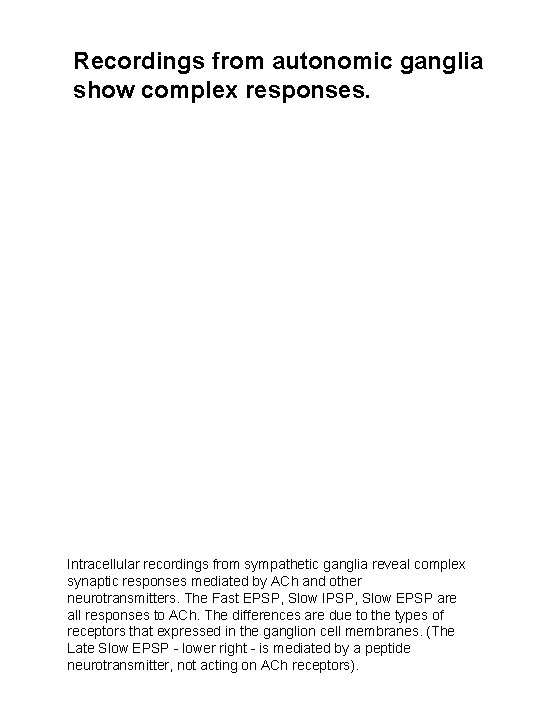 Recordings from autonomic ganglia show complex responses. Intracellular recordings from sympathetic ganglia reveal complex