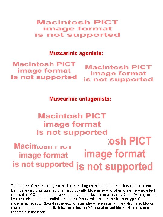 Muscarinic agonists: Muscarinic antagonists: The nature of the cholinergic receptor mediating an excitatory or