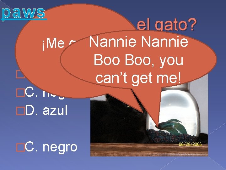 paws ¿Qué color es el gato? Nannie ¡Me gusta el �A. blanco pez! Boo, paws ¿Qué color es el gato? Nannie ¡Me gusta el �A. blanco pez! Boo,