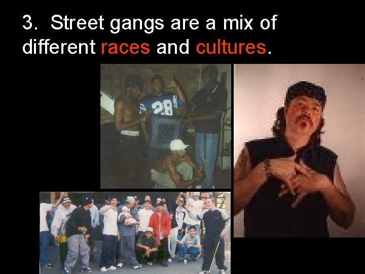 3. Street gangs are a mix of different races and cultures. 