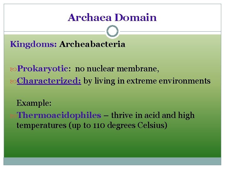 Archaea Domain Kingdoms: Archeabacteria Prokaryotic: no nuclear membrane, Characterized: by living in extreme environments