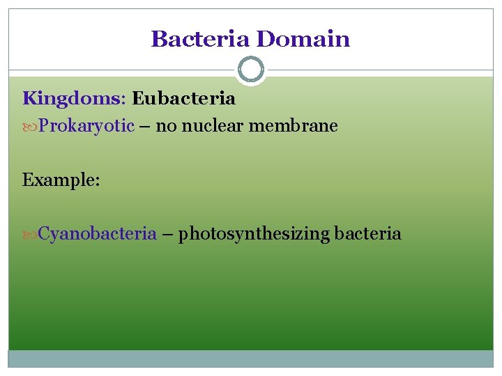 Bacteria Domain Kingdoms: Eubacteria Prokaryotic – no nuclear membrane Example: Cyanobacteria – photosynthesizing bacteria