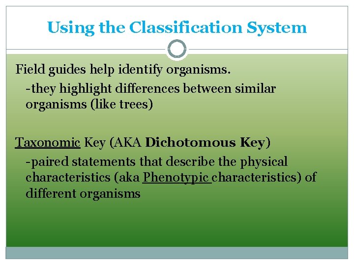 Using the Classification System Field guides help identify organisms. -they highlight differences between similar