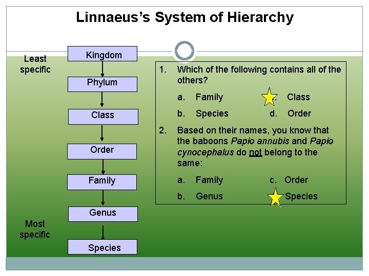 Linnaeus’s System of Hierarchy Least specific Kingdom 1. Phylum Class 2. Which of the