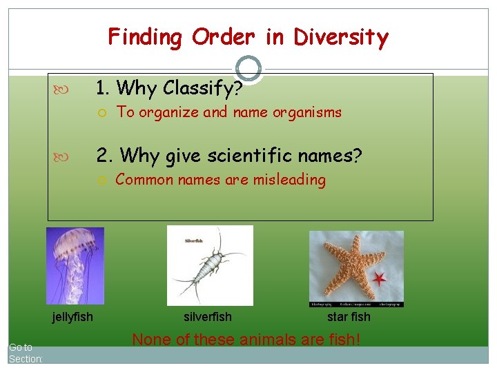 Finding Order in Diversity 1. Why Classify? 2. Why give scientific names? jellyfish Go