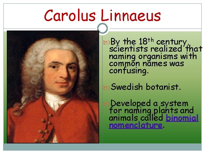 Carolus Linnaeus By the 18 th century, scientists realized that naming organisms with common