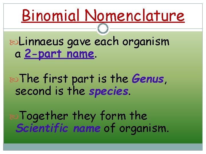 Binomial Nomenclature Linnaeus gave each organism a 2 -part name. The first part is