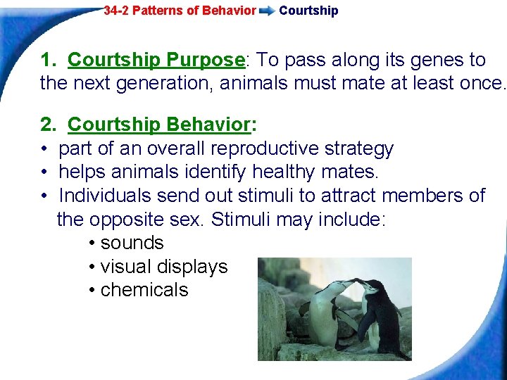 34 -2 Patterns of Behavior Courtship 1. Courtship Purpose: To pass along its genes