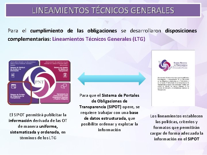 LINEAMIENTOS TÉCNICOS GENERALES Para el cumplimiento de las obligaciones se desarrollaron disposiciones complementarias: Lineamientos