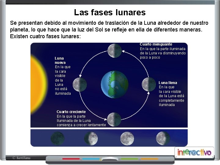 Las fases lunares Se presentan debido al movimiento de traslación de la Luna alrededor