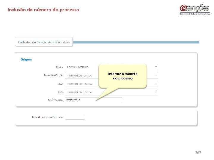 Inclusão do número do processo Informe o número do processo 797 